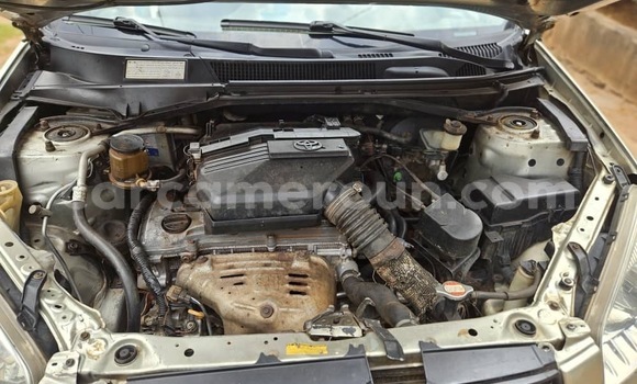 Buy Used Toyota RAV4 Silver Car in Yaounde in Central Cameroon Buy Used Toyota RAV4 Silver Car in Yaounde in Central Cameroon