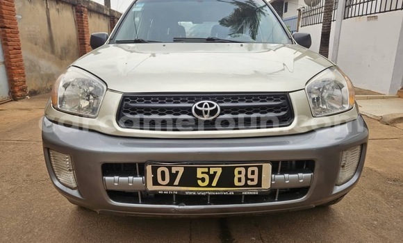 Buy Used Toyota RAV4 Silver Car in Yaounde in Central Cameroon Buy Used Toyota RAV4 Silver Car in Yaounde in Central Cameroon
