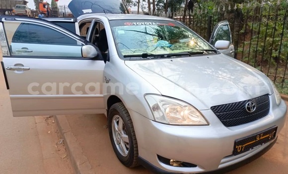 Buy Used Toyota Corolla Silver Car in Yaounde in Central Cameroon Buy Used Toyota Corolla Silver Car in Yaounde in Central Cameroon