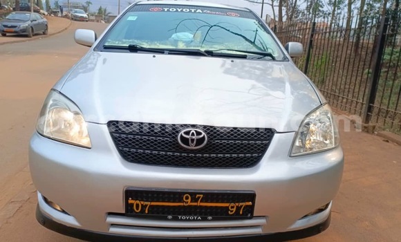 Buy Used Toyota Corolla Silver Car in Yaounde in Central Cameroon Buy Used Toyota Corolla Silver Car in Yaounde in Central Cameroon