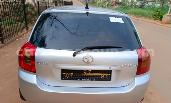 Buy Used Toyota Corolla Silver Car in Yaounde in Central Cameroon Buy Used Toyota Corolla Silver Car in Yaounde in Central Cameroon