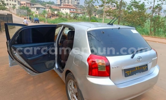 Buy Used Toyota Corolla Silver Car in Yaounde in Central Cameroon Buy Used Toyota Corolla Silver Car in Yaounde in Central Cameroon