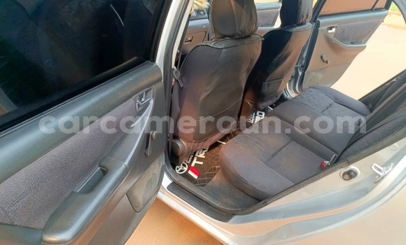 Buy Used Toyota Corolla Silver Car in Yaounde in Central Cameroon Buy Used Toyota Corolla Silver Car in Yaounde in Central Cameroon