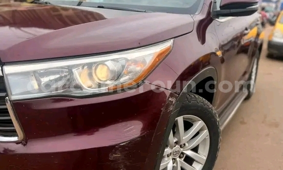 Buy Used Kia Sportage White Car in Douala in Littoral Cameroon Buy Used Kia Sportage White Car in Douala in Littoral Cameroon