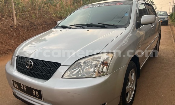 Buy Used Toyota Corolla Silver Car in Yaounde in Central Cameroon Buy Used Toyota Corolla Silver Car in Yaounde in Central Cameroon