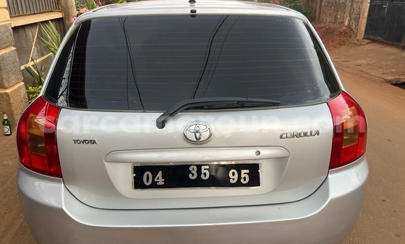 Buy Used Toyota Corolla Silver Car in Yaounde in Central Cameroon Buy Used Toyota Corolla Silver Car in Yaounde in Central Cameroon