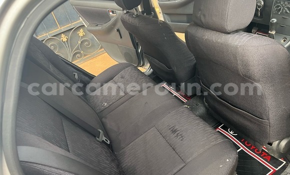 Buy Used Toyota Corolla Silver Car in Yaounde in Central Cameroon Buy Used Toyota Corolla Silver Car in Yaounde in Central Cameroon