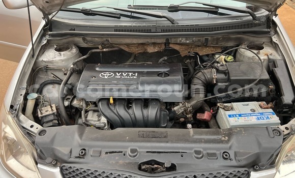 Buy Used Toyota Corolla Silver Car in Yaounde in Central Cameroon Buy Used Toyota Corolla Silver Car in Yaounde in Central Cameroon