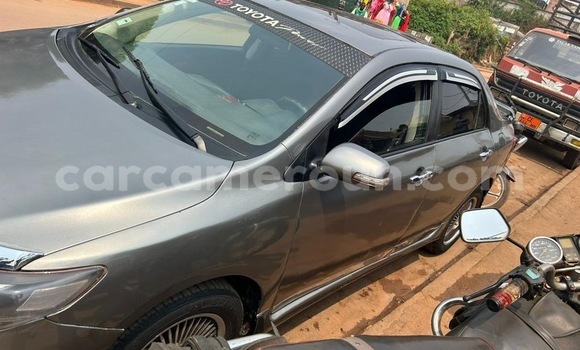 Buy Used Toyota Corolla Silver Car in Yaounde in Central Cameroon Buy Used Toyota Corolla Silver Car in Yaounde in Central Cameroon