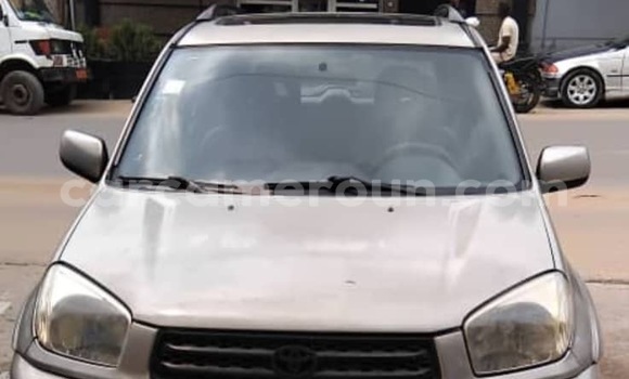 Buy Used Toyota RAV4 Beige Car in Douala in Littoral Cameroon