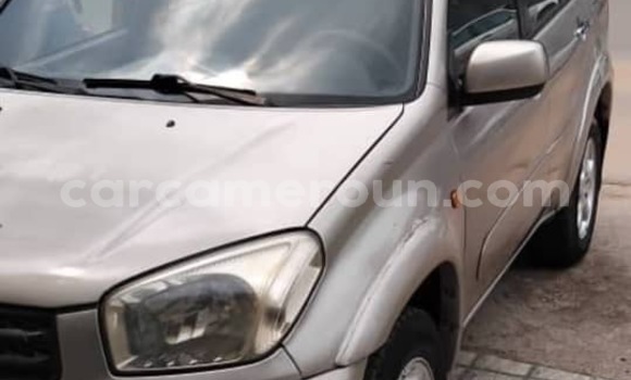 Acheter Occasion Voiture Toyota RAV4 Beige à Douala, Littoral Cameroon Acheter Occasion Voiture Toyota RAV4 Beige à Douala, Littoral Cameroon