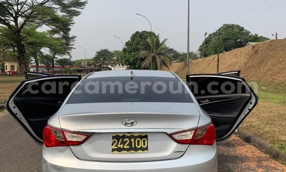 Acheter Neuf Voiture Hyundai Sonata Gris à Douala, Littoral Cameroon Acheter Neuf Voiture Hyundai Sonata Gris à Douala, Littoral Cameroon