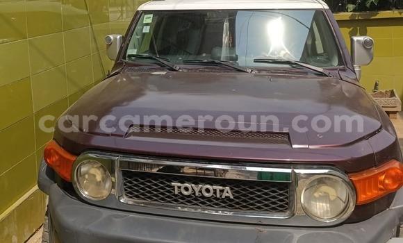 Acheter Occasion Voiture Toyota FJ Cruiser Marron à Douala, Littoral Cameroon