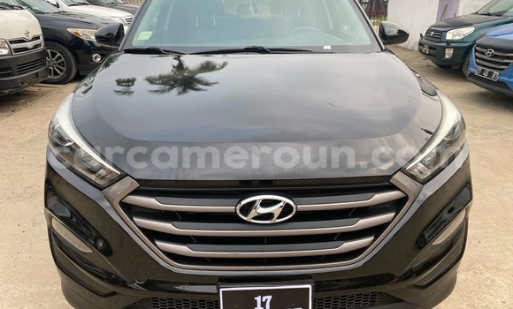 Buy Import Hyundai Tucson Black Car in Douala in Littoral Cameroon