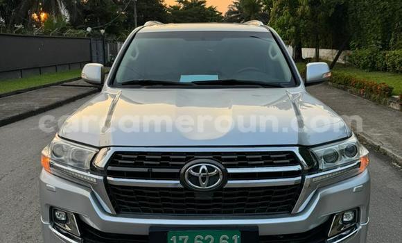 Buy Import Toyota Land Cruiser Silver Car in Douala in Littoral Cameroon