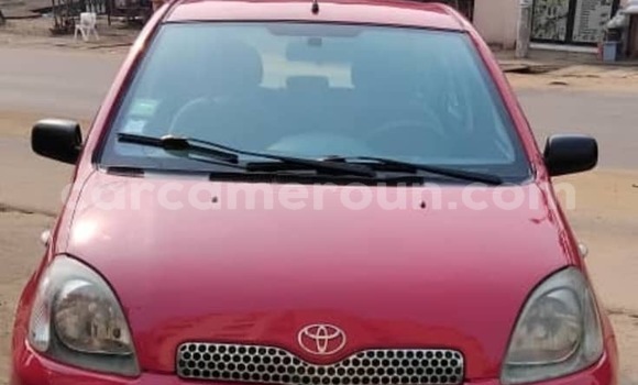 Buy Used Toyota Yaris Red Car in Douala in Littoral Cameroon