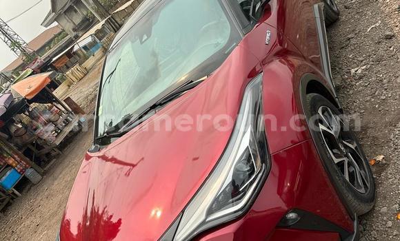 Acheter Occasion Voiture Toyota C-HR Bleu à Douala, Littoral Cameroon