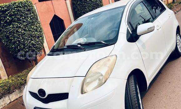 Buy Used Toyota Vitz White Car in Yaounde in Central Cameroon