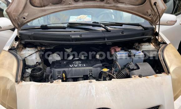 Buy Used Toyota Vitz White Car in Yaounde in Central Cameroon Buy Used Toyota Vitz White Car in Yaounde in Central Cameroon