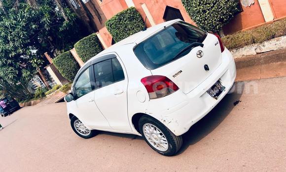 Buy Used Toyota Vitz White Car in Yaounde in Central Cameroon Buy Used Toyota Vitz White Car in Yaounde in Central Cameroon