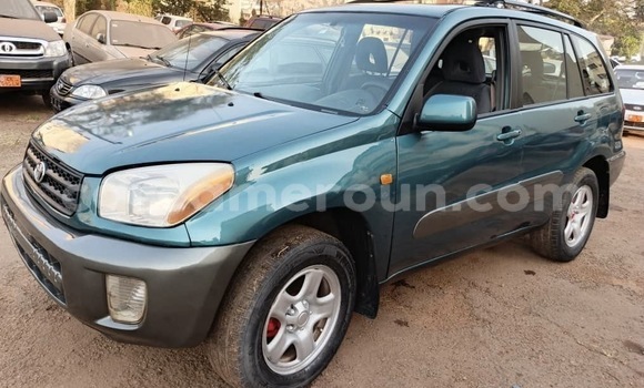Buy Used Toyota RAV4 Green Car in Yaounde in Central Cameroon
