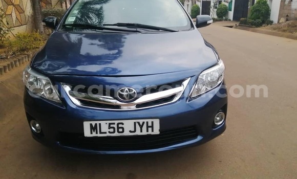 Acheter Occasion Voiture Toyota Corolla Bleu à Yaoundé, Central Cameroon