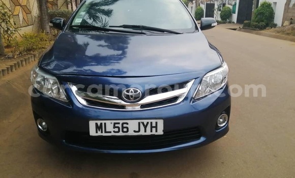 Sayi Na hannu Toyota Corolla Blue Mota in Yaounde a Babban Kamaru Sayi Na hannu Toyota Corolla Blue Mota in Yaounde a Babban Kamaru