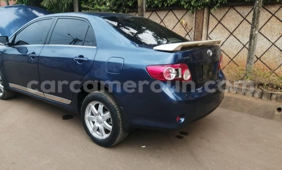 Sayi Na hannu Toyota Corolla Blue Mota in Yaounde a Babban Kamaru Sayi Na hannu Toyota Corolla Blue Mota in Yaounde a Babban Kamaru