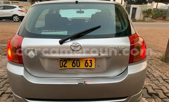 Buy Used Toyota Corolla Silver Car in Yaounde in Central Cameroon Buy Used Toyota Corolla Silver Car in Yaounde in Central Cameroon
