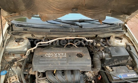 Buy Used Toyota Corolla Silver Car in Yaounde in Central Cameroon Buy Used Toyota Corolla Silver Car in Yaounde in Central Cameroon