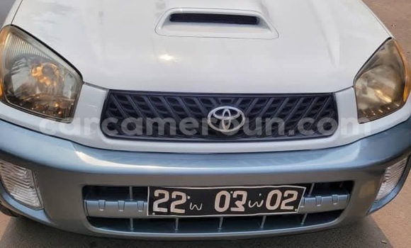 Acheter Import Voiture Toyota RAV4 Blanc à Douala, Littoral Cameroon