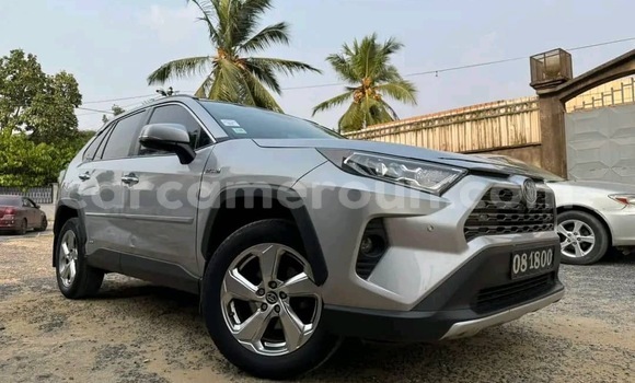 Buy Import Toyota RAV4 Silver Car in Douala in Littoral Cameroon
