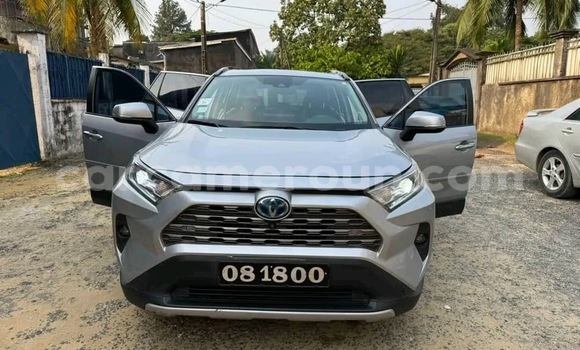 Buy Import Toyota RAV4 Silver Car in Douala in Littoral Cameroon Buy Import Toyota RAV4 Silver Car in Douala in Littoral Cameroon