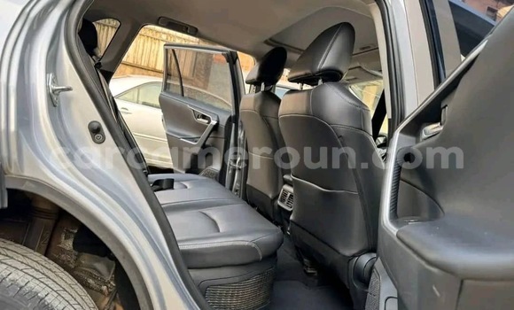 Buy Import Toyota RAV4 Silver Car in Douala in Littoral Cameroon Buy Import Toyota RAV4 Silver Car in Douala in Littoral Cameroon