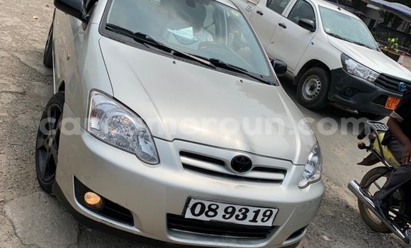 Buy Import Toyota Corolla Silver Car in Douala in Littoral Cameroon