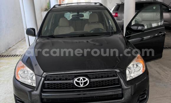 Acheter Occasion Voiture Toyota RAV4 Noir à Douala, Littoral Cameroon