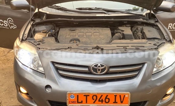 Buy Used Toyota Corolla Other Car in Douala in Littoral Cameroon Buy Used Toyota Corolla Other Car in Douala in Littoral Cameroon