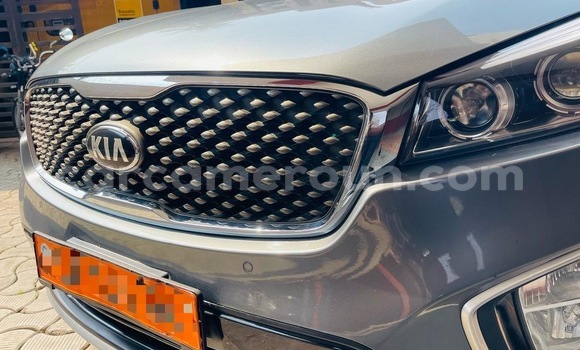 Buy Used Kia Sorento Silver Car in Douala in Littoral Cameroon Buy Used Kia Sorento Silver Car in Douala in Littoral Cameroon