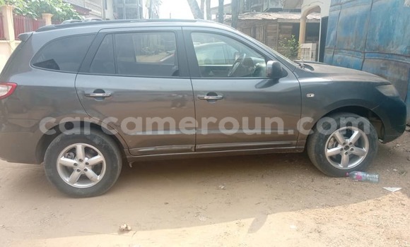 Buy Used Hyundai Santa Fe Brown Car in Douala in Littoral Cameroon