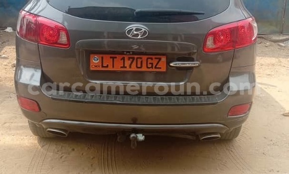 Acheter Occasion Voiture Hyundai Santa Fe Marron à Douala, Littoral Cameroon Acheter Occasion Voiture Hyundai Santa Fe Marron à Douala, Littoral Cameroon