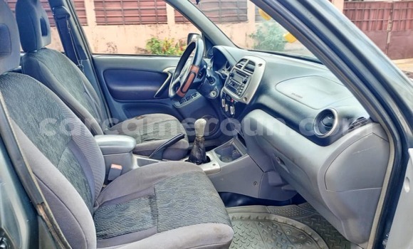 Sayi Na hannu Toyota RAV4 Blue Mota in Douala a Ƙasar Kamaru Sayi Na hannu Toyota RAV4 Blue Mota in Douala a Ƙasar Kamaru