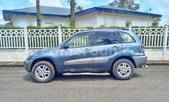Sayi Na hannu Toyota RAV4 Blue Mota in Douala a Ƙasar Kamaru Sayi Na hannu Toyota RAV4 Blue Mota in Douala a Ƙasar Kamaru