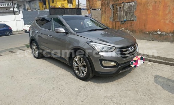 Buy Used Hyundai Santa Fe Silver Car in Douala in Littoral Cameroon