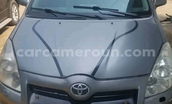Acheter Occasion Voiture Toyota Corolla Verso Gris à Douala, Littoral Cameroon