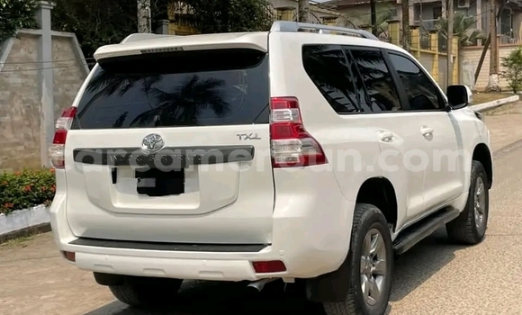 Sayi Imported Toyota Land Cruiser Prado White Mota in Douala a Ƙasar Kamaru Sayi Imported Toyota Land Cruiser Prado White Mota in Douala a Ƙasar Kamaru