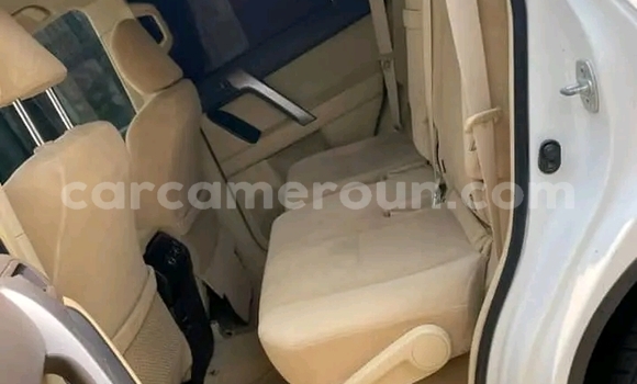 Sayi Imported Toyota Land Cruiser Prado White Mota in Douala a Ƙasar Kamaru Sayi Imported Toyota Land Cruiser Prado White Mota in Douala a Ƙasar Kamaru