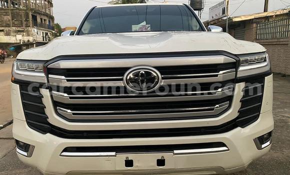 Sayi Imported Toyota Land Cruiser White Mota in Douala a Ƙasar Kamaru Sayi Imported Toyota Land Cruiser White Mota in Douala a Ƙasar Kamaru