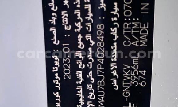 Sayi Imported Toyota Land Cruiser White Mota in Douala a Ƙasar Kamaru Sayi Imported Toyota Land Cruiser White Mota in Douala a Ƙasar Kamaru