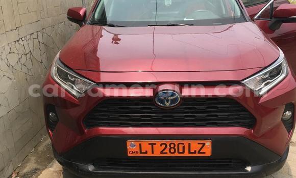 Acheter Occasion Voiture Toyota RAV4 Rouge à Douala, Littoral Cameroon