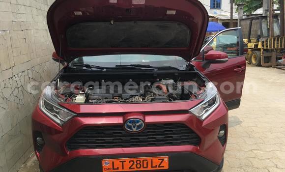 Acheter Occasion Voiture Toyota RAV4 Rouge à Douala, Littoral Cameroon Acheter Occasion Voiture Toyota RAV4 Rouge à Douala, Littoral Cameroon